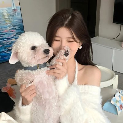 弗雷德 海报